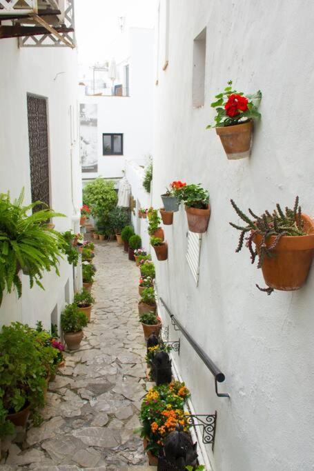 Apartmán Casa Anicca Vejer de la Frontera Exteriér fotografie